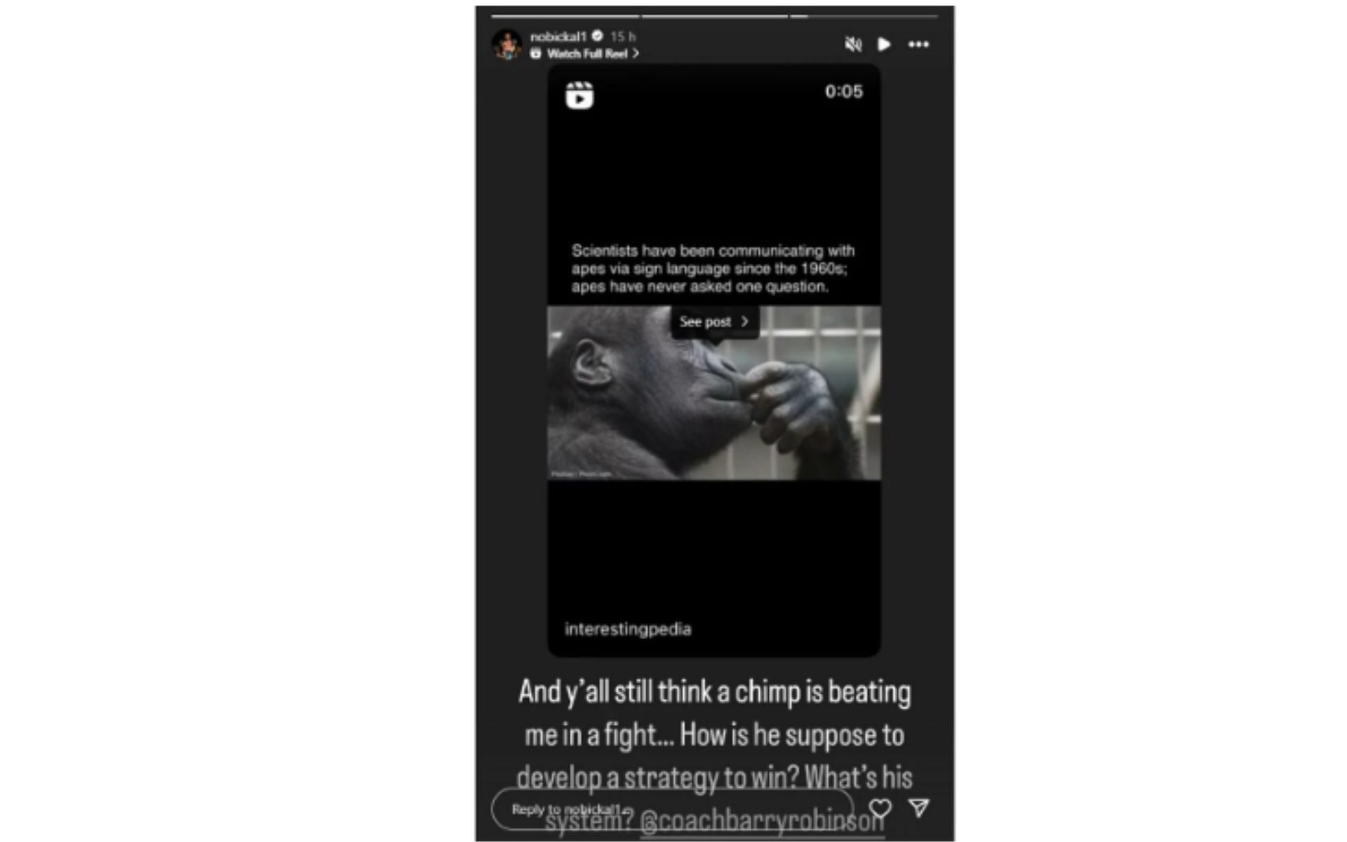 Screenshot of Bo Nickal's Instagram story